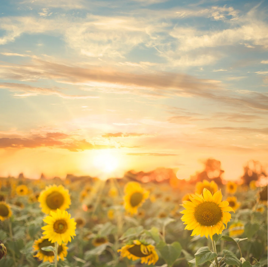 Produits naturels pour femmes enceintes : crème solaire bio, soin jambes lourdes, pochon maternité