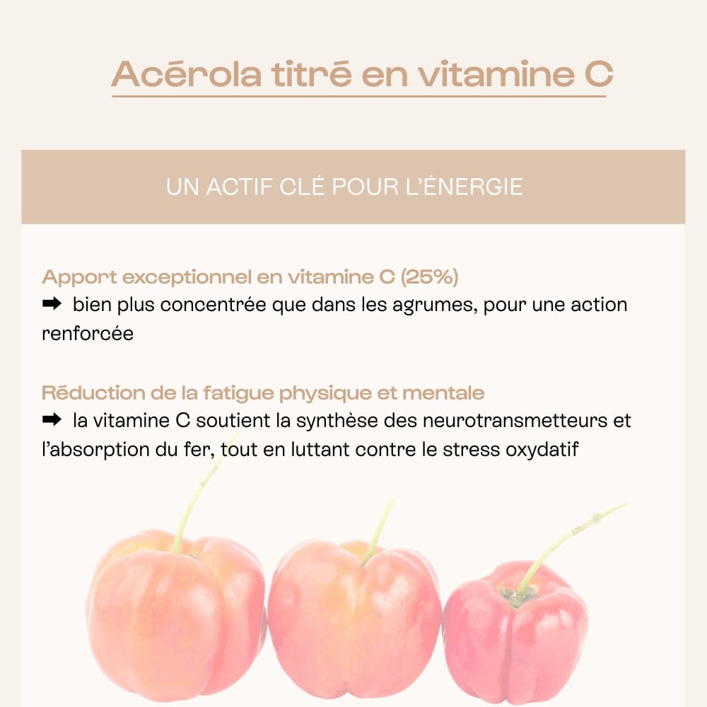 Infographie sur l’acérola, fruit riche en vitamine C naturelle, ingrédient clé du complément Mon Coup de Boost pour lutter contre la fatigue.