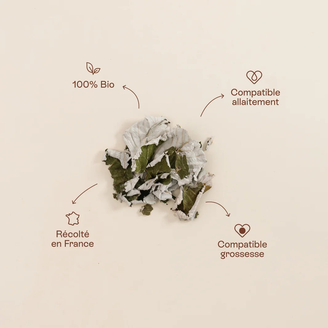 Infusion Feuilles de Framboisier Bio・Jolly Mama