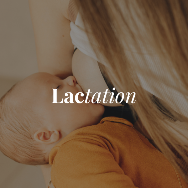Booster la lactation