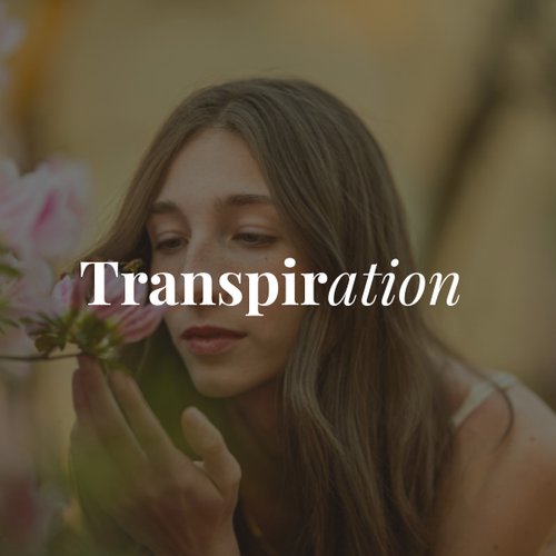 Transpiration liée aux hormones – Grossesse & Post-Partum