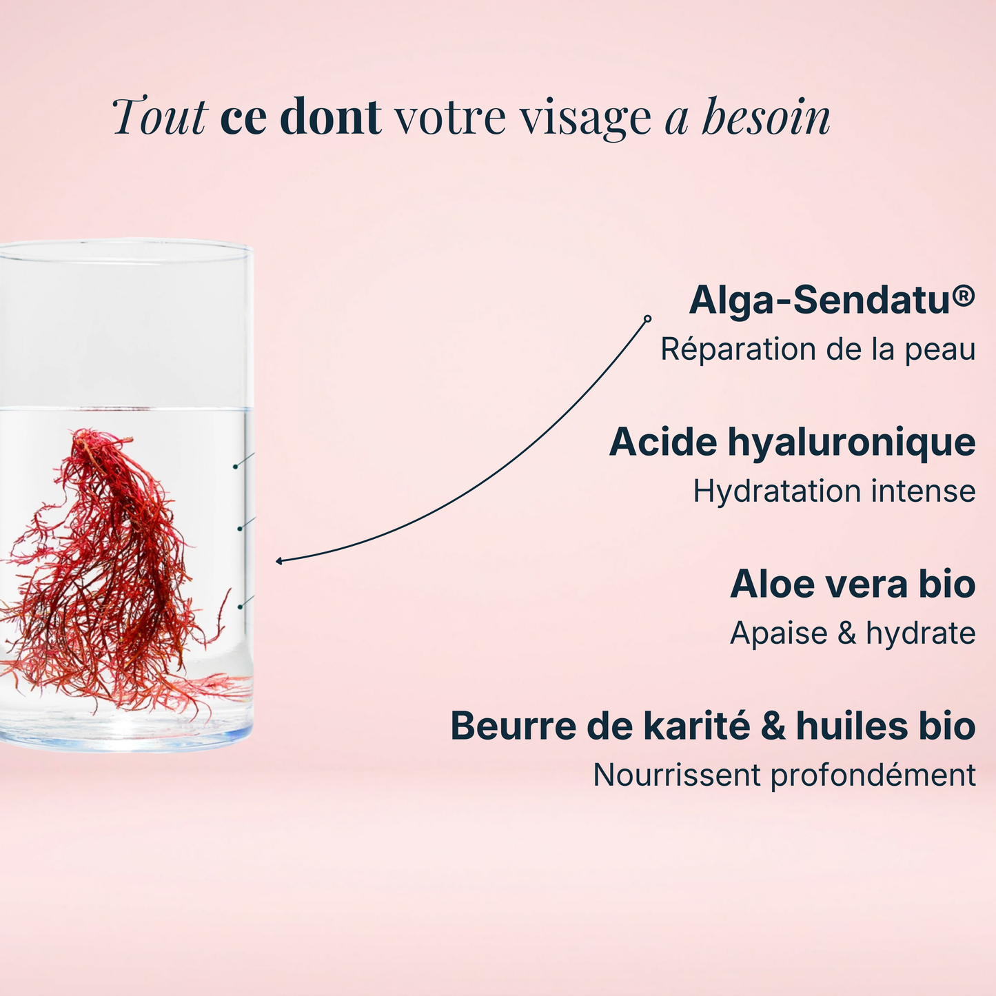 Crème mains réparatrices bio