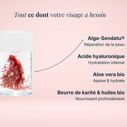 Crème mains réparatrices bio
