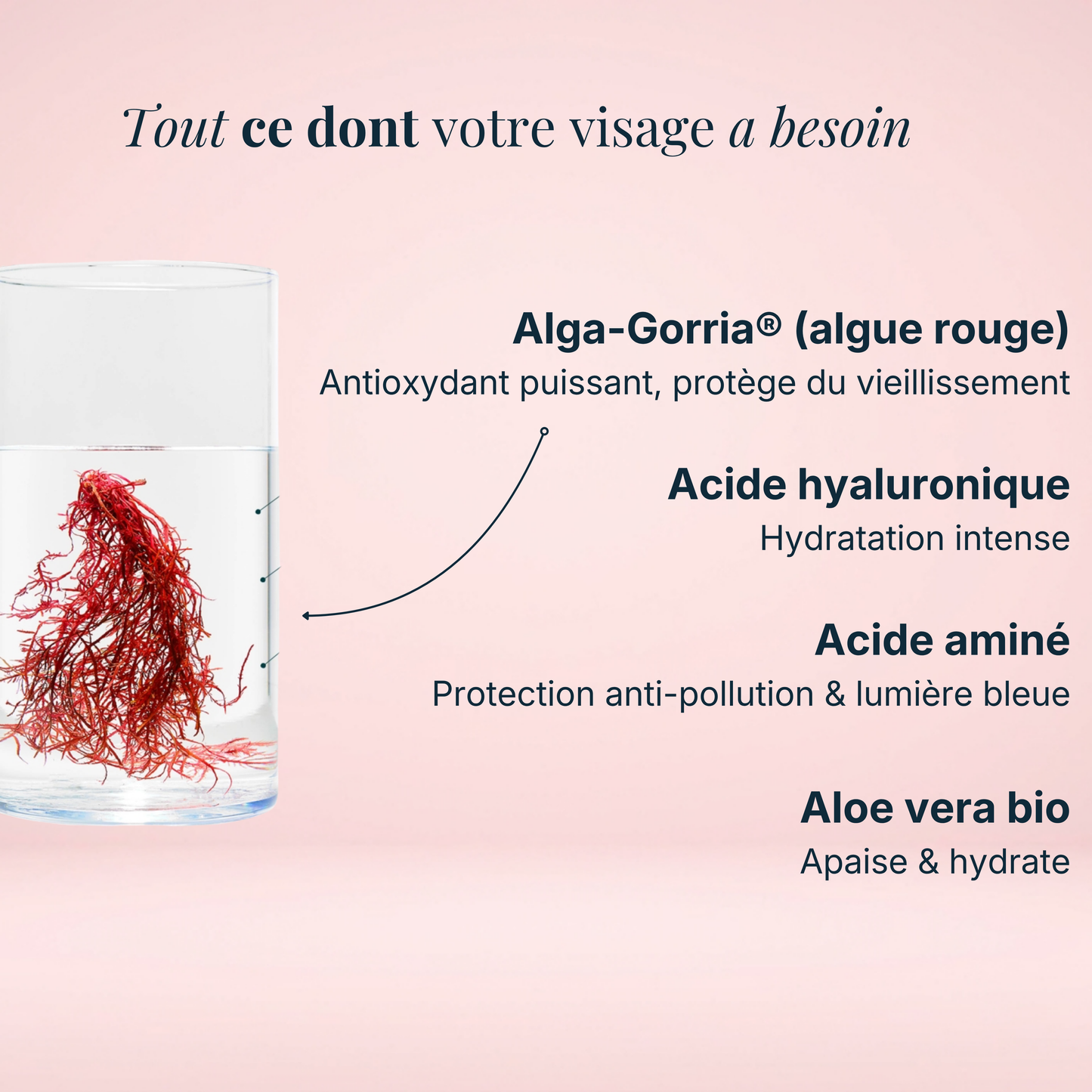 Crème hydratante visage