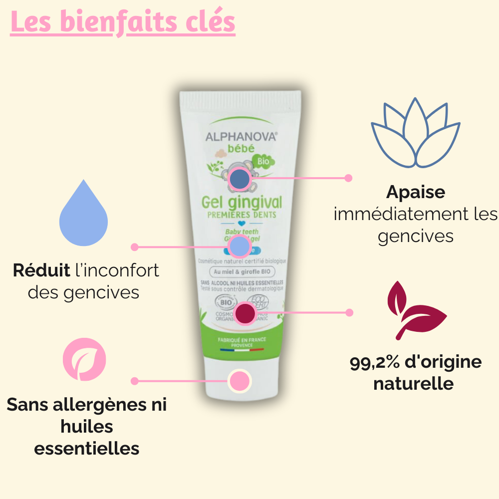 Les bienfaits clés du Gel Gingival Alphanova : apaisement, hydratation, et formule 99,9 % naturelle.