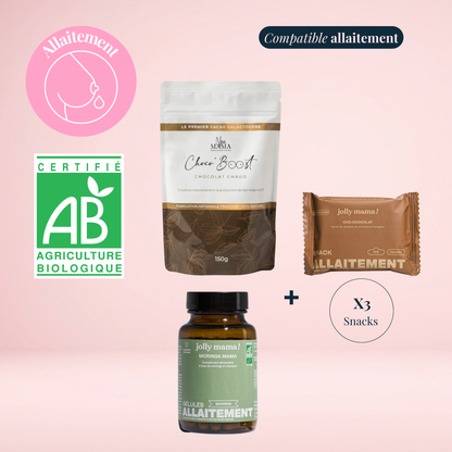 Box Booster la Lactation Allaitement Essentielle