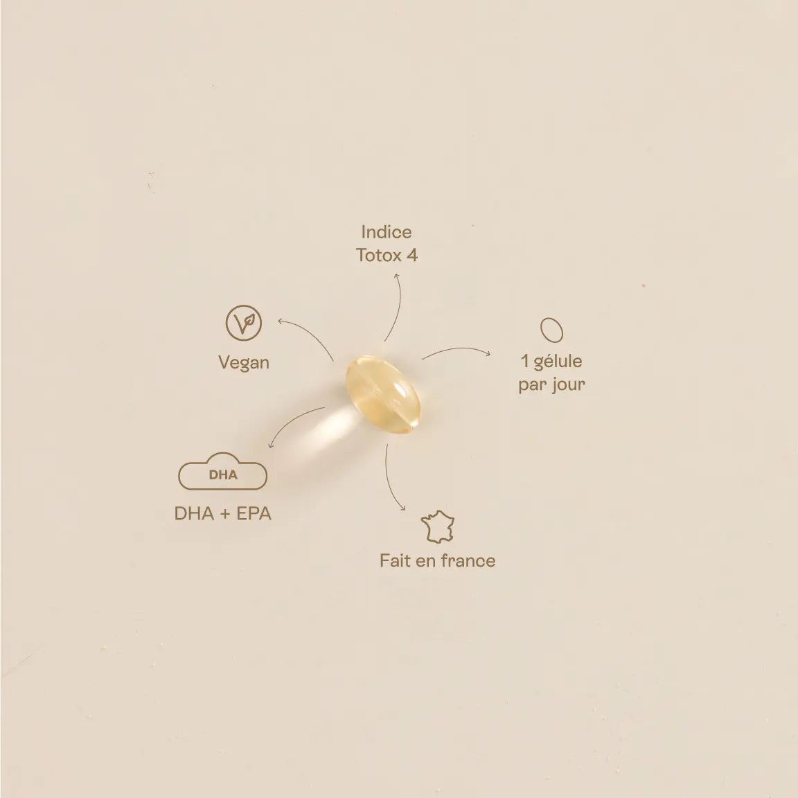 Infographie des bienfaits du DHA/EPA: développement du cerveau et de la vision du bébé, soutien du cerveau de la maman.