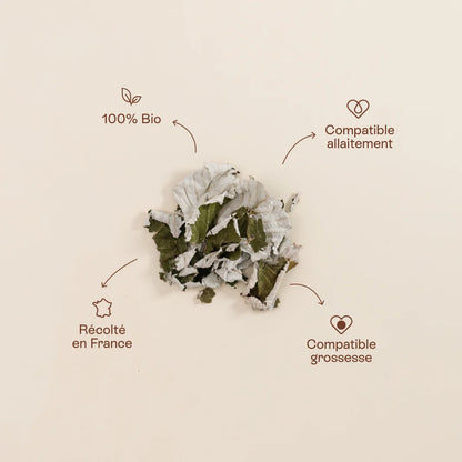 Infusion Feuilles de Framboisier Bio・Jolly Mama