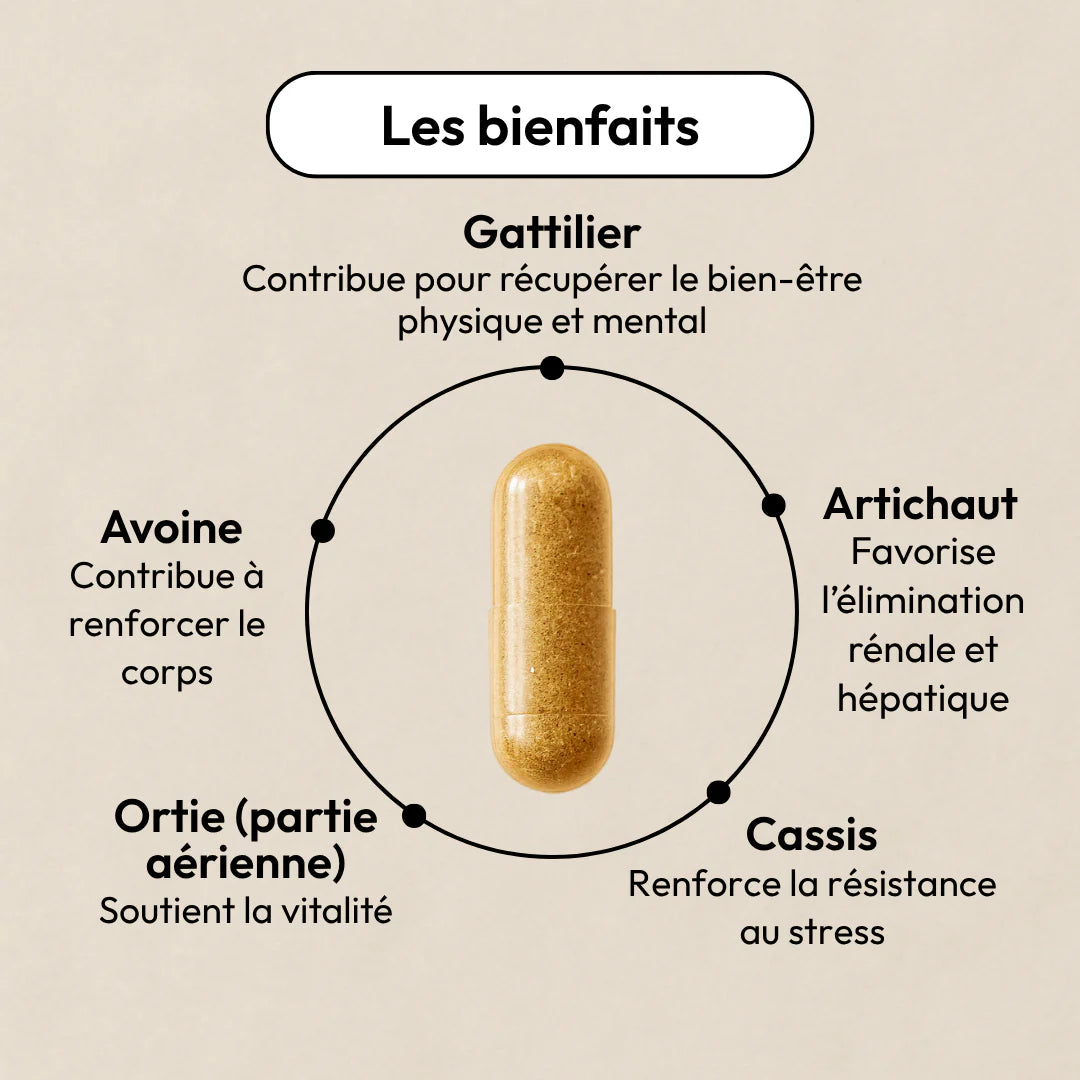 Ingrédients naturels de No Milk – Avoine, Cassis, Ortie, Gattilier