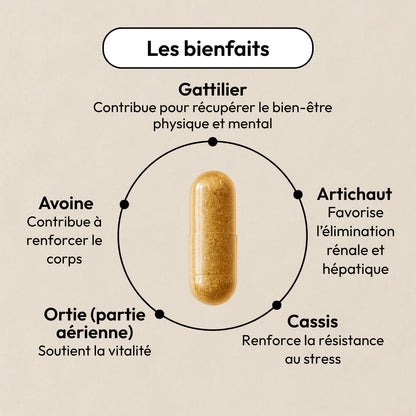 Ingrédients naturels de No Milk – Avoine, Cassis, Ortie, Gattilier