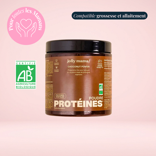 Poudre protéines végétale au chocolat Bio