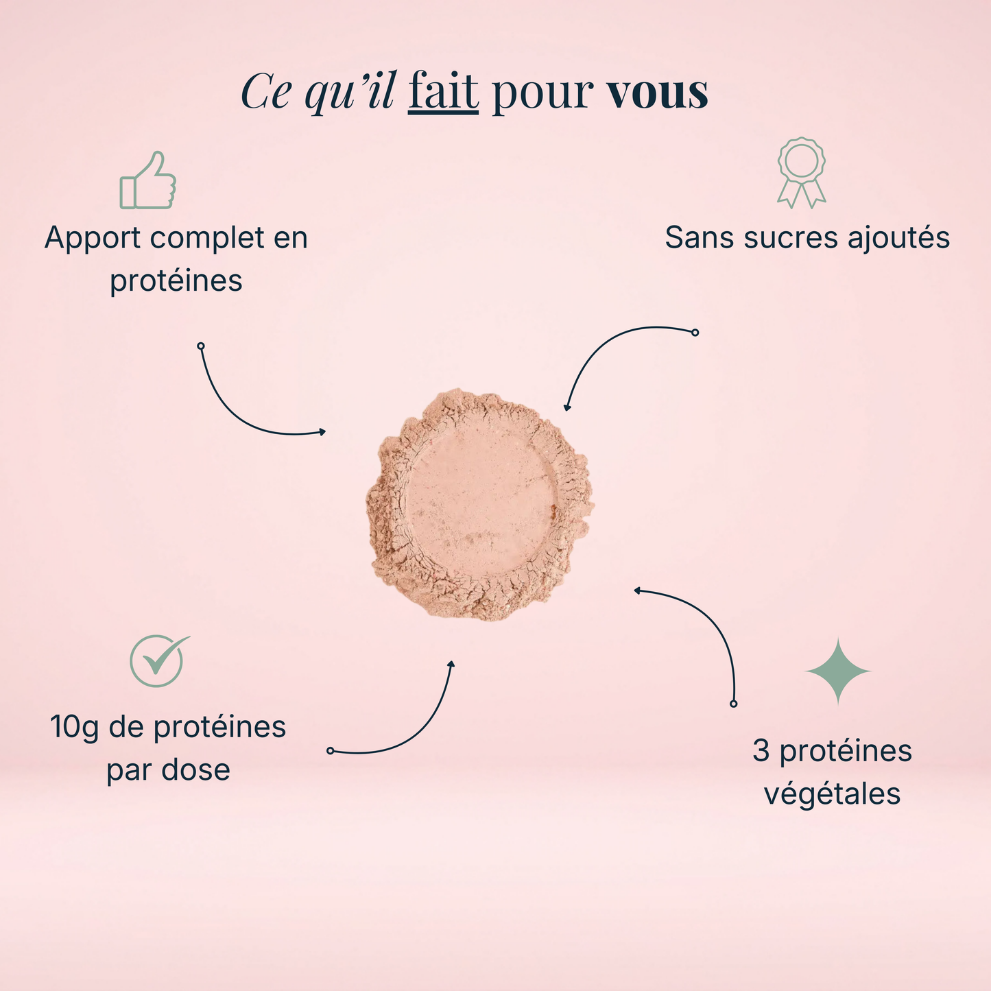 Poudre protéines végétale au chocolat Bio