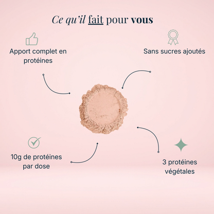 Poudre protéines végétale au chocolat Bio